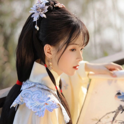 Handcrafted Hanfu Accessory Details